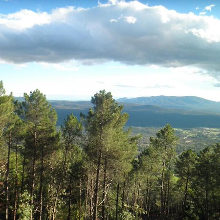 Amatalasvinas Piedralaves Kültér fotó